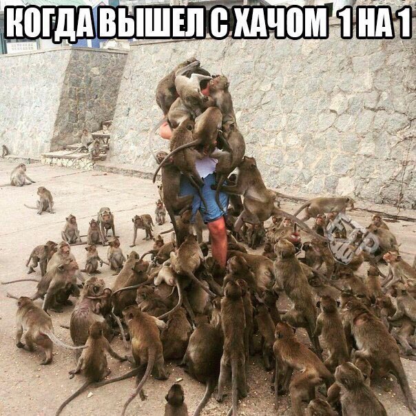 Подборка картинок