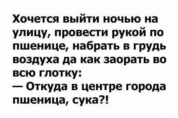 Странный альтернативный юмор