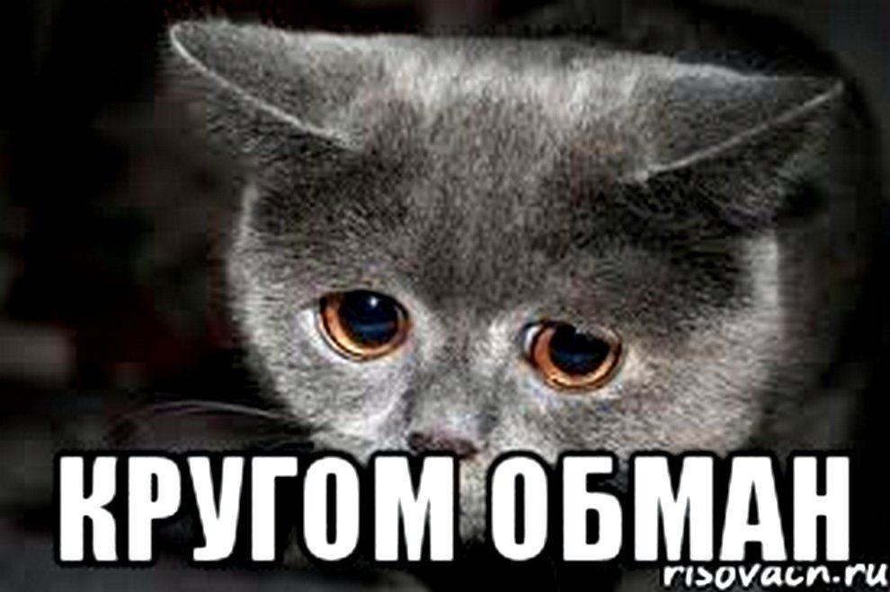 Все честно без обмана. Без обмана картинка. Нет она обманывает. Психология мошенничества. Нет она обманывает.