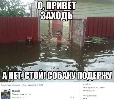 Опять соцсети...