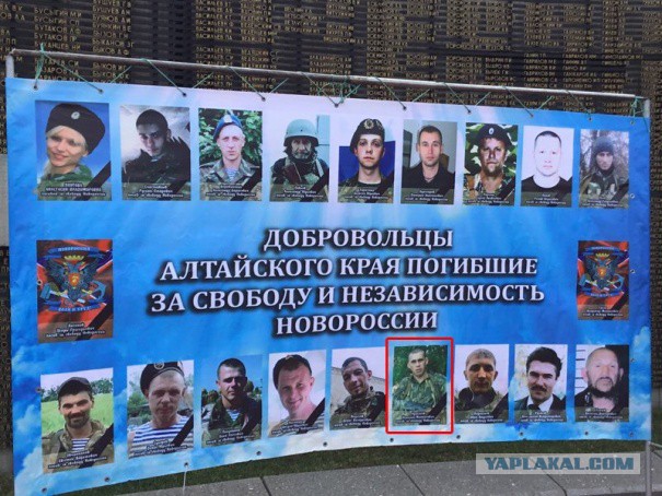 Бедная Украина, как же ей срут в уши укрСМИ