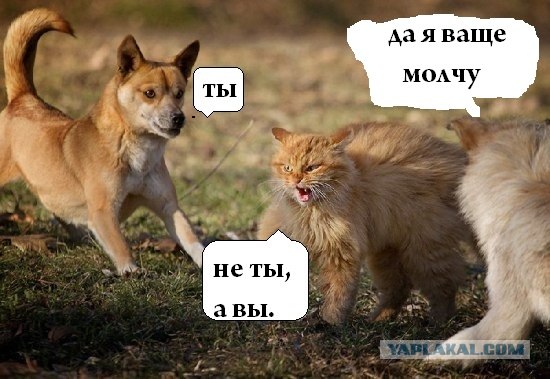 Последний бой.