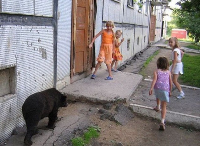 Прикольные и просто красивые картинки 14.08.2019