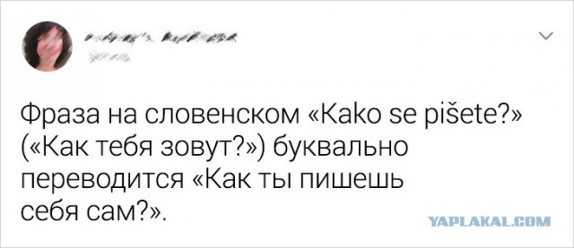 Немного фактов о разных языках мира