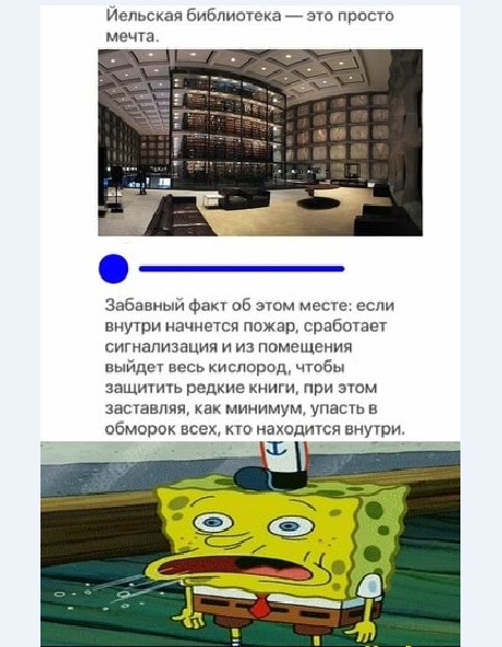 Картинки и мемы для настроения 025