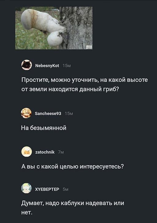Так себе картинки 1.05.21