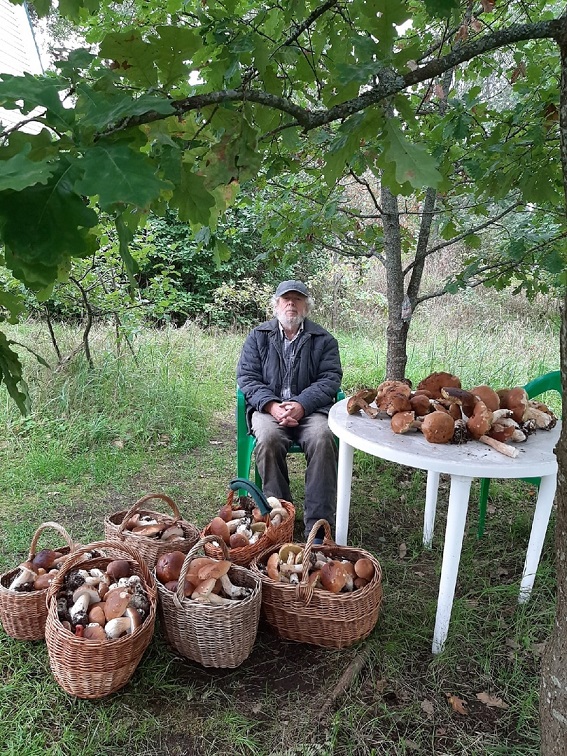 В Выборгском лесу найден «король» белых грибов весом 1,6 кг