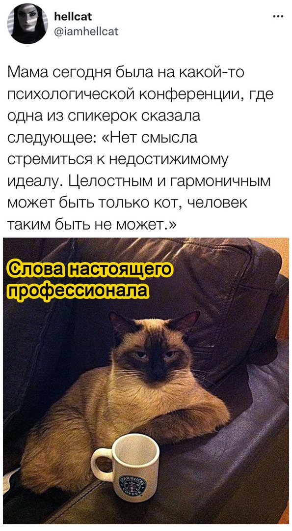 Так себе картинки 11.10.21