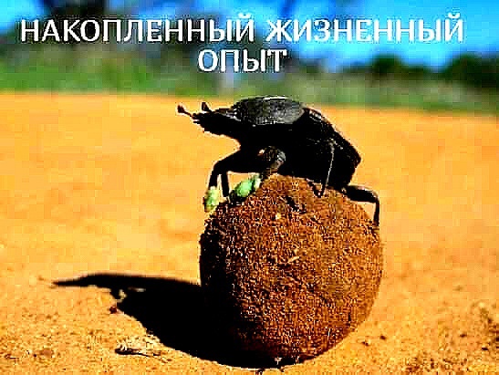Так себе картинки 29.04.22