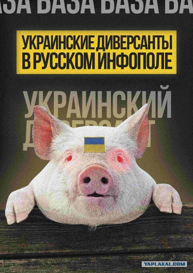 Шойгу заявил о сознательном замедлении наступления российских военных на Украине