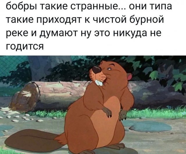 Немного картинок для настроения - 114