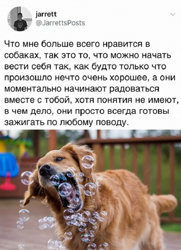 Картинки и мемы. Выходные близко...