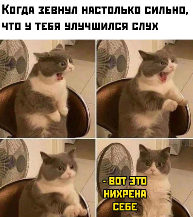 Картинки и мемы для настроения - 015