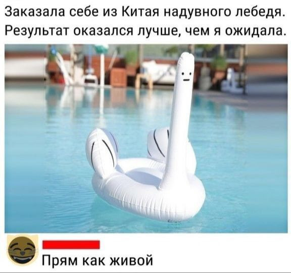 Немного картинок для настроения - 127