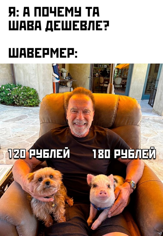 Картинки и мемы, всяко разно - 175
