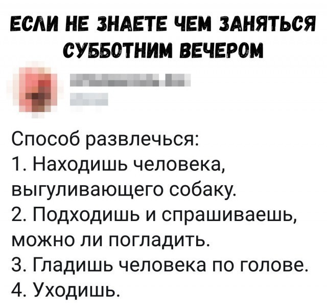 Приколы с налетом деградации