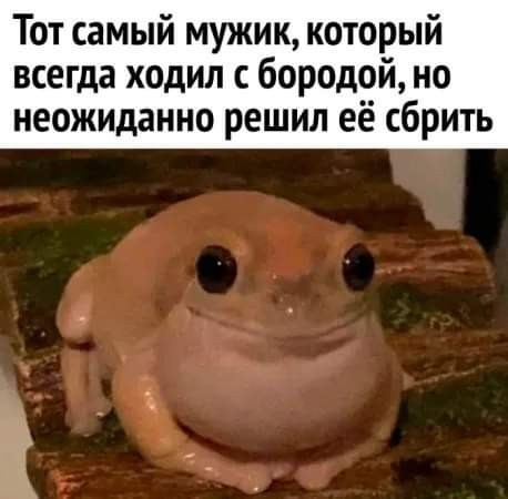 Картинки от Scodero в 2024 году