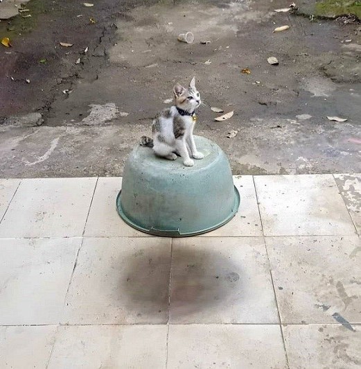 Пора в космос!