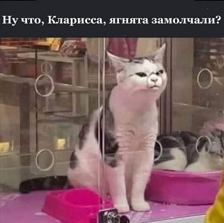 Тлидцать тли от 20 маЛта
