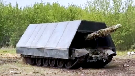 Так выглядит автомобиль после того, как на нём попрыгали козы в Бутово