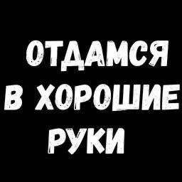 Прикольные и просто красивые картинки 27.09.2024