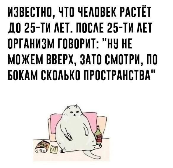 Немного забавных картинок от 23.10.2024