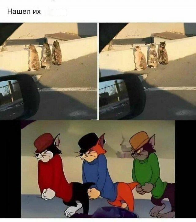 Картинки разные