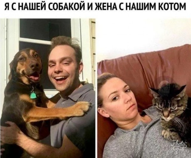 К котовторнику: подборка картинок-баянов с котиками и про котиков. Выпуск 10