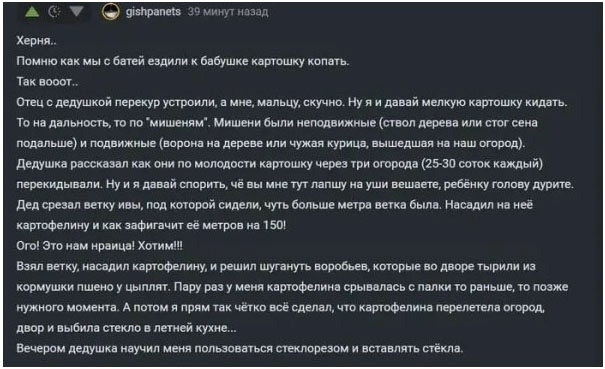 Прогноз выходного дня