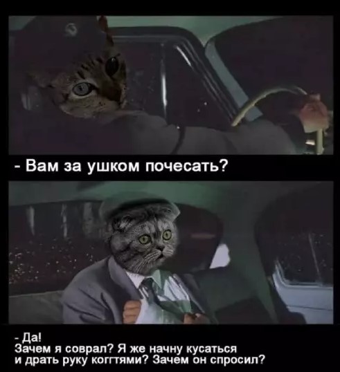 Картиночки, баянчики 24 января