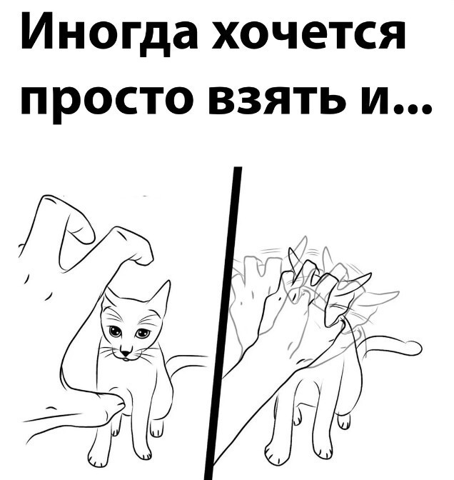 Мелкий не отступает