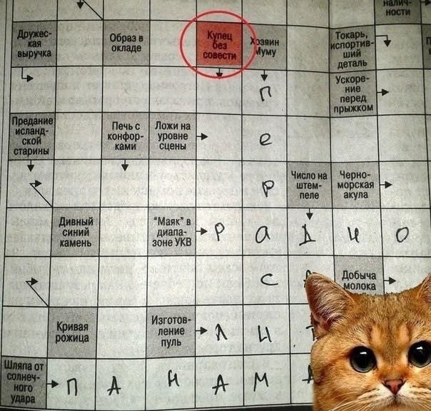 Среды картинки