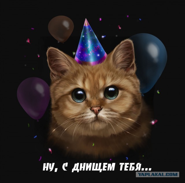 Полста !!!
