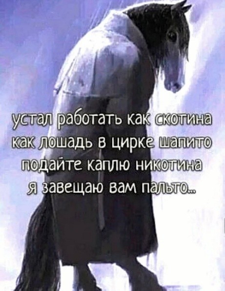 Картинки для деградации 224 (разной степени свежести)