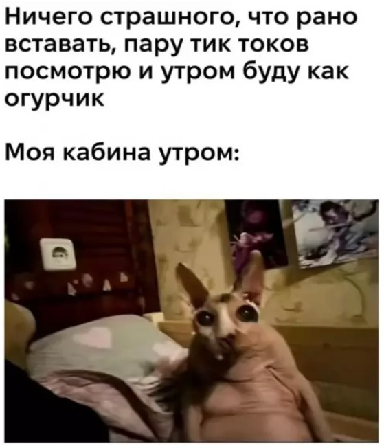 Картинки для деградации 230 (разной степени свежести)