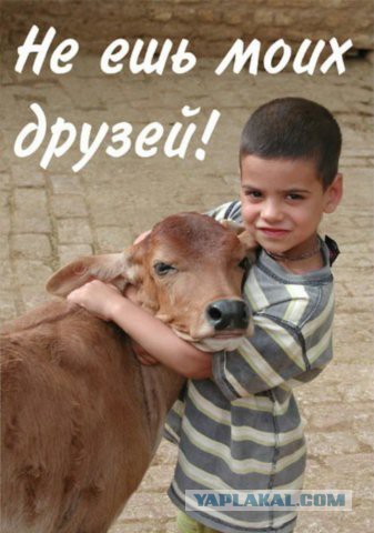 Интересное о мясных блюдах