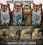 Картинки