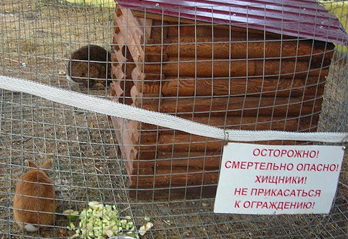 Все, все злые!