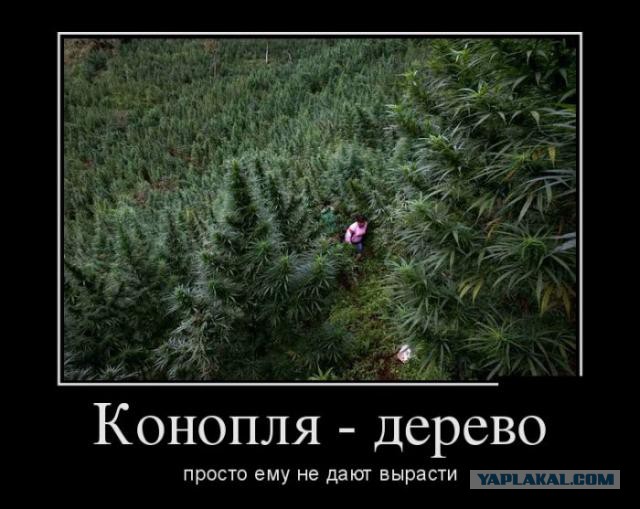 Чёрт, чёрт, чёрт!