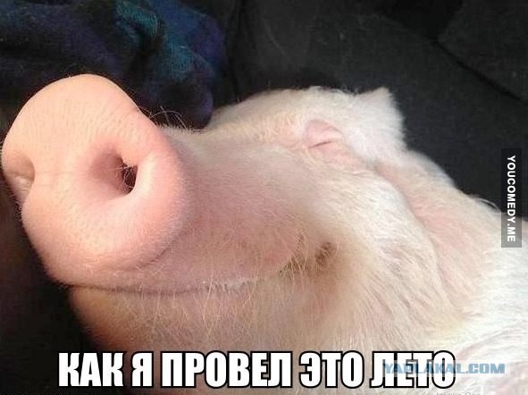Прикольные пикчи