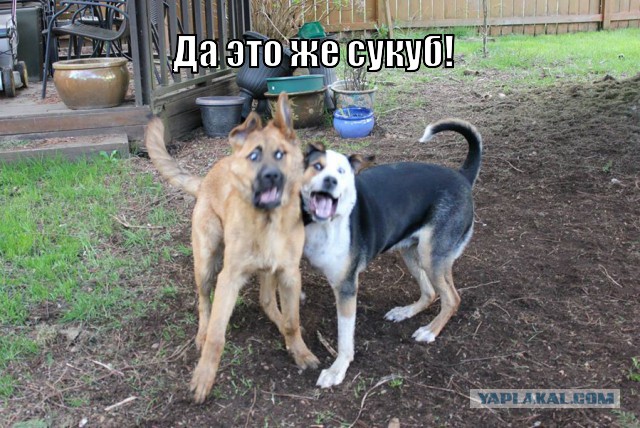 Что это было?