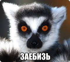 Женщин Непала раз в месяц выгоняют из дома