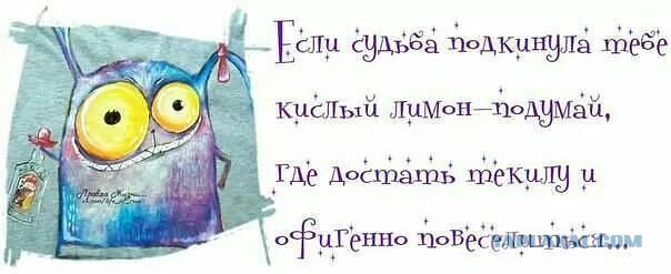 Весёлое из сети