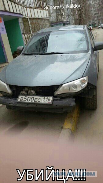 Водитель задавил собаку, отдыхавшую во дворе