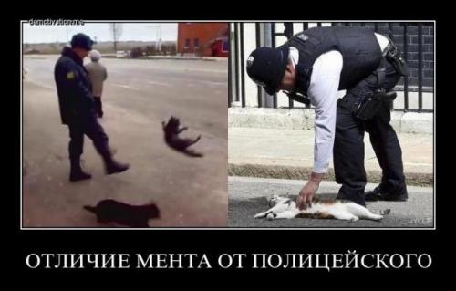 Прикольные картиночки