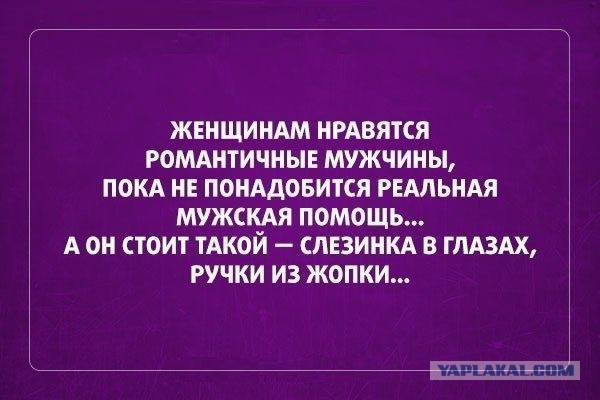 "А что может твой Саша?"