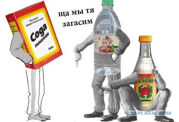 Шакалята