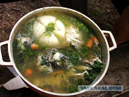 История одного обеда