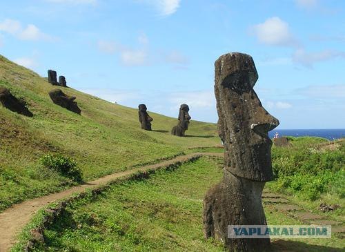 Мозг порвало