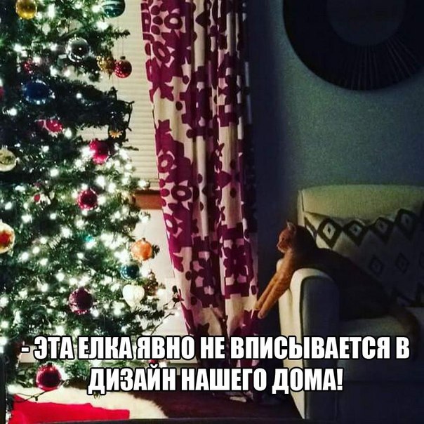 Картинки на пятницу